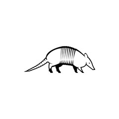 Wall Mural - vector armadillo silhouette