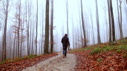 Wall Mural - Walk along the foggy autumn seasonal forest road in the early misty morning. Back view.