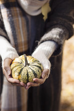 Hands Of Woman Holding A Little Pumpkin