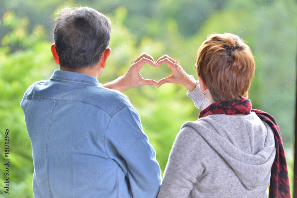 Portrait of happy romantic senior couple making heart shape with hands ...