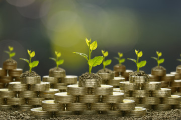 Image of pile of coins with plant on top for business, saving, growth, economic concept