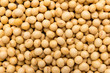 Soybean legume. Closeup of grains, background use.