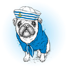 A Beautiful Dog In Sailor Clothes. Vector Illustration. Animal In Clothes And Accessories. A Sailor In A Cap And Tie. Purebred Puppy.