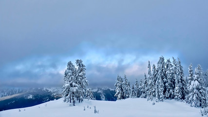 White Christmas. Trees covered with snow. Crater Lake National Park in winter. Oregon. United States.