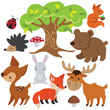 Forest animal vector cartoon illustration