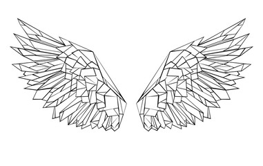 Wall Mural - Polygonal wings