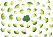 Broccoli florets isolated