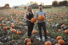 Couple Holding Pumpkin In Pumpkin Field
