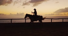 Silhouette Of Woman Horseback Riding At Sunset