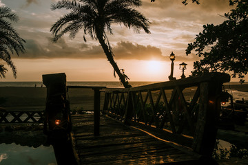 Wall Mural - Silhouette of palm tree at beautiful tropical sunset. Film color toned filter