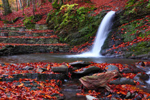 Little Waterfall In The Beech Forest In The Fall.