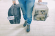 little dog in the airline cargo pet carrier
