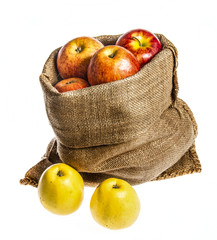 Wall Mural - a sack with apples isolated on a white background