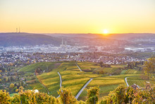 Vineyards In Stuttgart / Colorful Wine Growing Region In The South Of Germany With View Over Neckar Valley