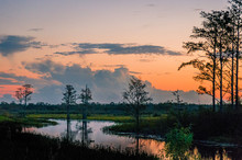 Winding River In The Swamp With Orange And Purple Sunset And Cypress Tree Silhouette 