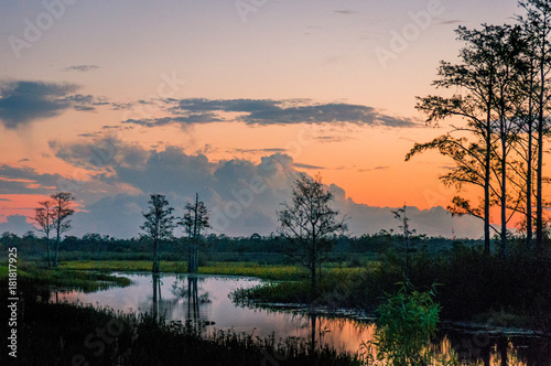 Fotomural winding river in the swamp with orange and purple sunset and cypress tree silhou
