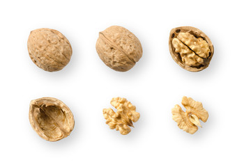 Wall Mural - Walnuts, whole and opened, on white background. Top views of nuts and kernel halves. Seeds of the common walnut tree Juglans regia, used as snack and for baking. Macro food photo close up from above.