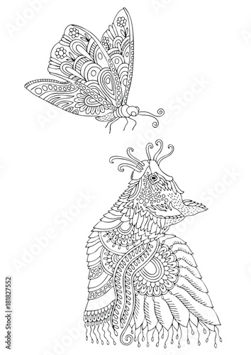 84 Top Kitten Butterfly Coloring Pages Pictures 84 Top Kitten Butterfly Coloring Pages Pictures