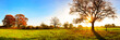 Panorama of a beautiful autumn landscape with meadows and trees at sunset