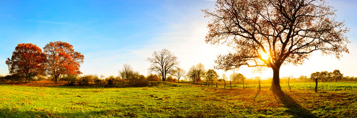 Poster - Panorama of a beautiful autumn landscape with meadows and trees at sunset
