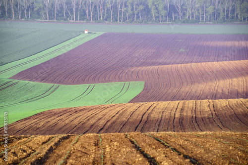Photo Landscape called Moravian Tuscany, Moravia, Czech Republic, near Kyjov