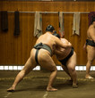 Enormous sumo fighters wresling and training in sumo stables in tokyo