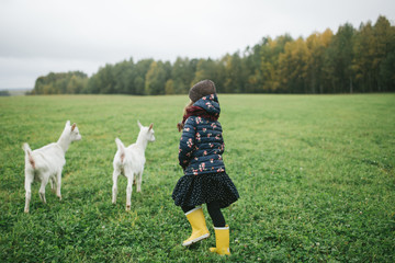 Little kids playing with goats on cheese farm outdoors