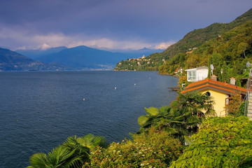 Wall Mural - Pino sulla Sponda del Lago Maggiore am Lago Maggiore - Pino sulla Sponda del Lago Maggiore on lake Lago Maggiore