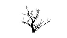 Dead Tree Silhouette