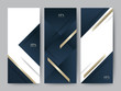 Branding Packageing luxury navy dark blue with gold texture background. For logo vertical banner voucher, vector illustration