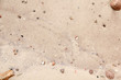 Sand Strand Hintergrund Textur Steine Kiesel Stein Kieselsteine