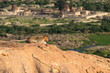 Macaque Monkey Walks Across Boulder Overlooking Hampi Ruins in India