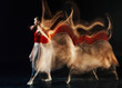 © zinkevych - Plastic movements. Beautiful young slim woman making a step forwards and moving her hands while dancing