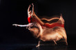 © zinkevych - Elegance and plasticity. Beautiful nice gracious woman jumping and holding her arms up while showing her grace