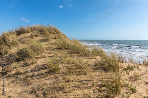 Cuadros en Lienzo Dune de sable sur la côte d'Olonne-sur-Mer (Vendée, France)