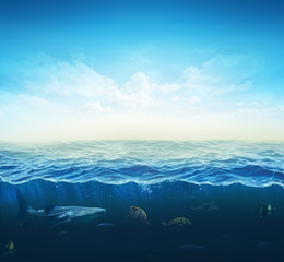 cross section water, ocean slice, fishes under water. 3d illustration