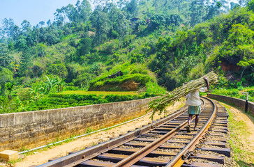 Poster - Walk along the rails, Demodara