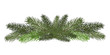 Vector illustration. Eps 10.Garland of branches of a Christmas tree . Isolated. nature decoration.