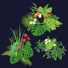 Wall Mural - Green Parrot and Toucan on Tree Branch
