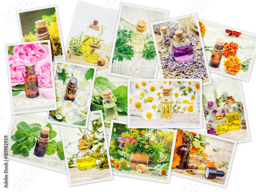 Fotografia medicinal herbs collage. Selective focus.
