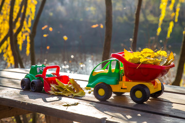 Two small toy truck and tractor is loaded with yellow fallen leaves. The car stands on a wooden surface against a background of a blurry autumn park. Cleaning and removal of fallen leaves. Seasonal wo