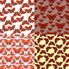 Poster - Colorful butterflies with abstract decorative seamless pattern background fly present silhouette and beauty nature spring insect decoration vector illustration.