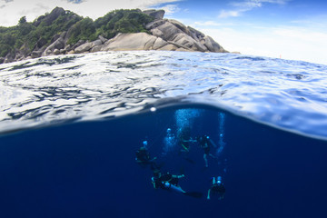 Wall Mural - Scuba dive