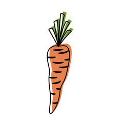 Canvas Print - carrot vegetable in watercolor silhouette on white background