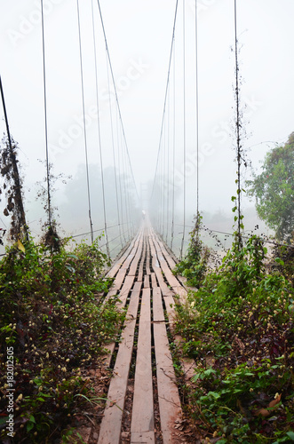 Obrazy most we mgle  podwieszany-drewniany-bambusowy-most-w-lesie-dla-osob-przekraczajacych-maly-strumien-w-godzinach-porannych