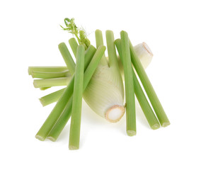 Fennel isolated on the white background .