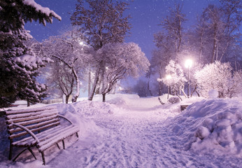 Beautiful winter night landscape of snow covered bench among snowy trees and shining lights during the snowfall. Artistic picture. Beauty world.