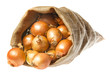 a sack with onion isolated on a white background