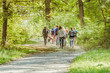 © Feel good studio - Small group of young adult tourists going inside of summer green forest hiking by trail path, back rear view.