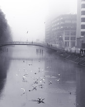Foggy Morning In The City - Strasbourg